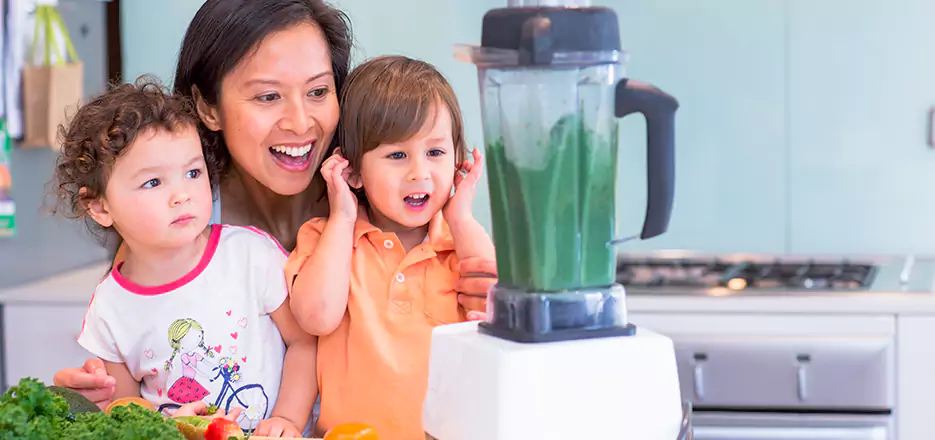 Juicer and Mixer Blender Repair in Haverhill 
