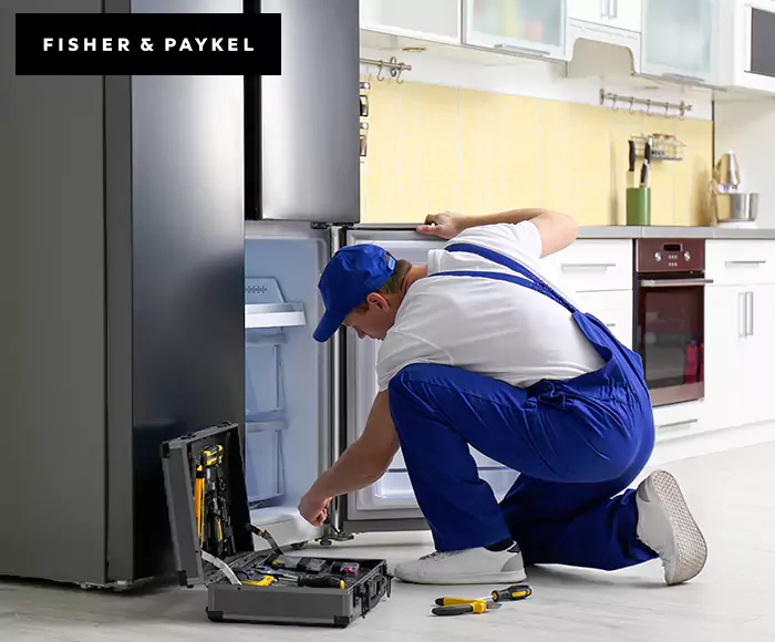 Top-Rated Fisher & Paykel Appliance Experts: Your Brand Specialist in Haverhill, MA